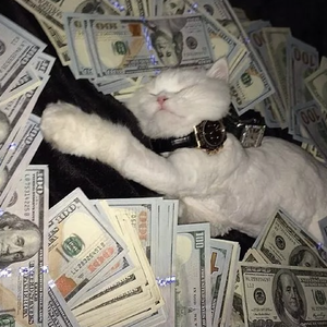 27男女邪恶动态
