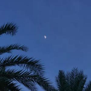 27男女邪恶动态
