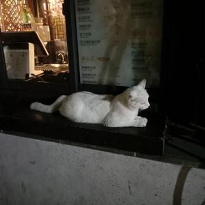 27男女邪恶动态
